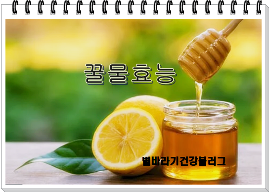꿀물효능