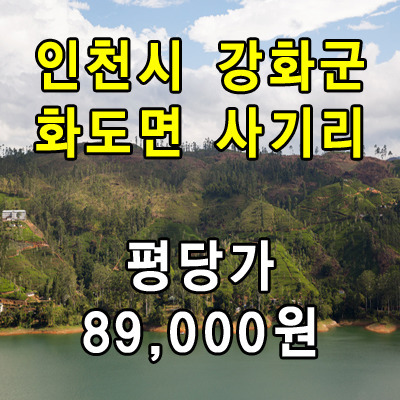 인천시 강화군 화도면 사기리 토지투자 매물