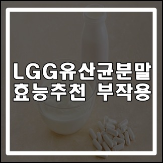 LGG 유산균 분말 효능 추천 및 부작용 효과적으로 먹는 방법