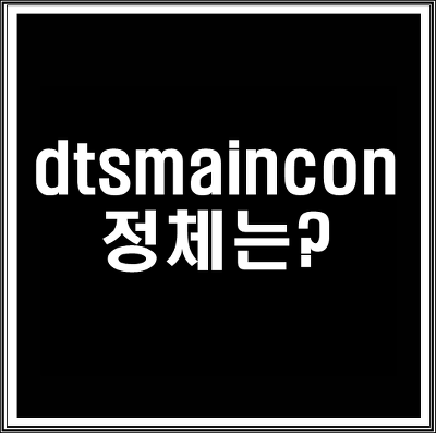 dtsmaincon 정체는?