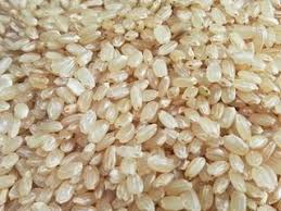 흰쌀밥보다 현미밥을 먹어야 하는 이유 (현미의 효능!!)