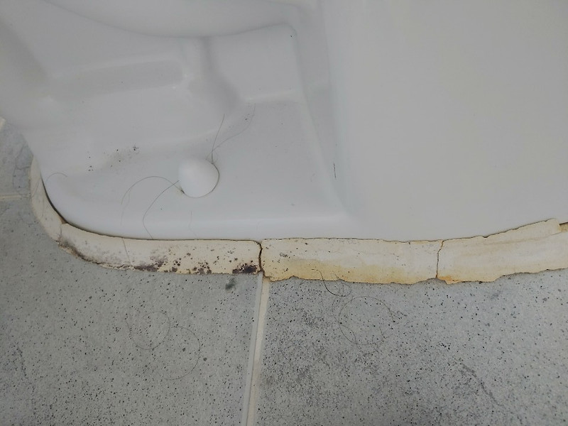 다이소 다용도 만능시멘트로 화장실 변기 바닥 시멘트 셀프 시공하는 방법