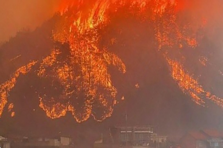 안동 산불 풍천면에서 발생, 원인은 무엇일까?