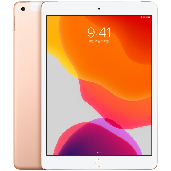 최저가 오늘만 이가격 Apple 2019년 iPad 10.2 7세대, Wi-Fi+Cellular, 128GB, Gold, LGU+ 유심 포함