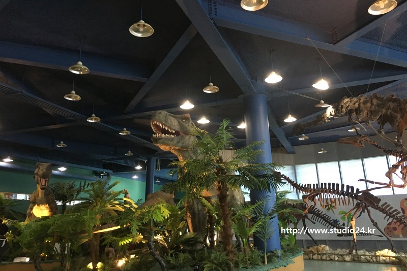 미호박물관, 남양주 공룡박물관