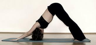 척추 안정성을 위한 요가기반의 훈련 / Yoga based Training for Spinal Stability