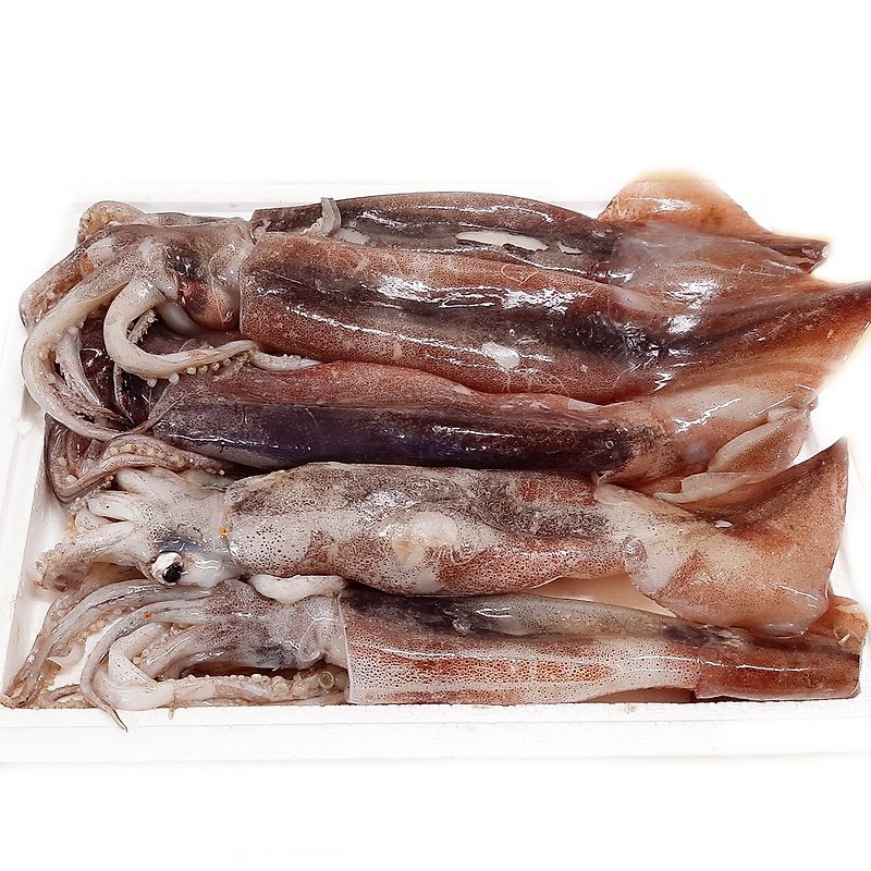 [고래푸드] 선상동결 냉동 오징어 1kg(5~7마리), 1box, 1kg
