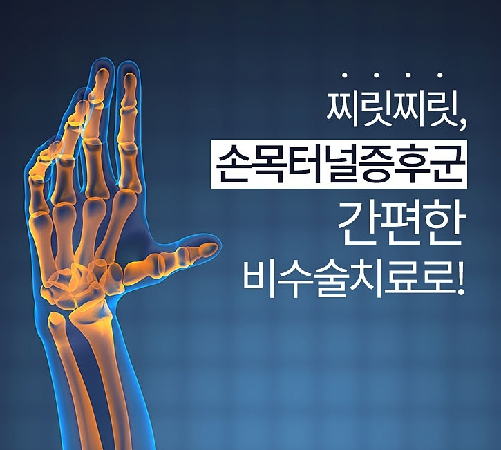 [라이언짐] 손목터널증후군 / 경기광주헬스