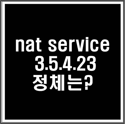 nat service 3.5.4.23 정체