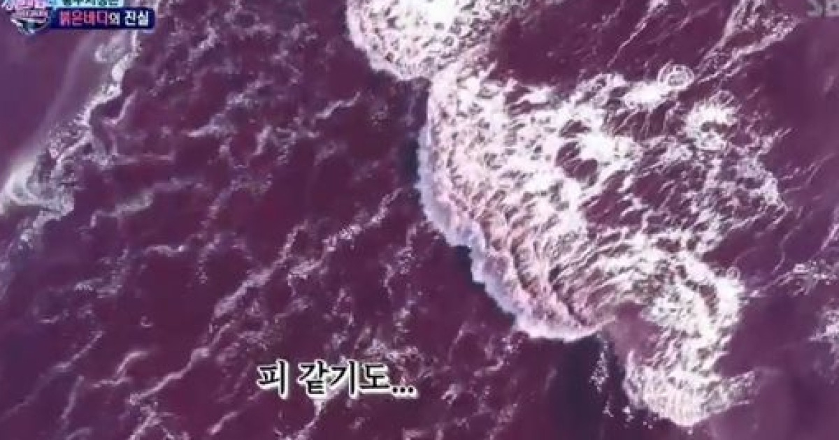 '정법' 조윤우x김진경, 핏빛 바다에 충격 '불길'