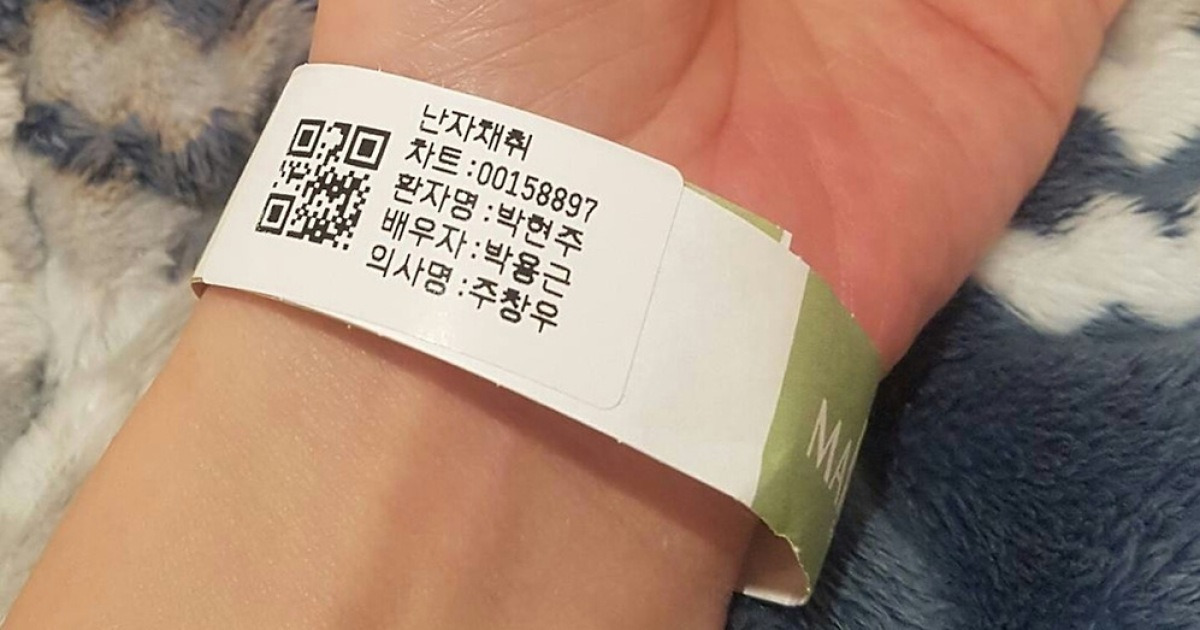 '박용근♥' 채리나, 임신 위해 난자 12개 채취 
