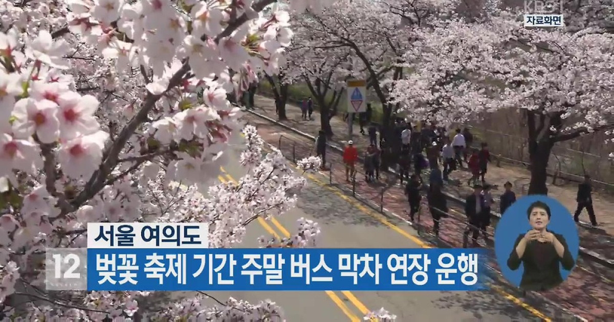 서울 여의도, 벚꽃 축제 기간 주말 버스 막차 연장 운행