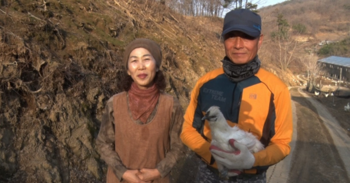 'VJ특공대' 귀산으로 인생 2모작.. 횡성 '노아의 숲'·경산 '봉림농원'