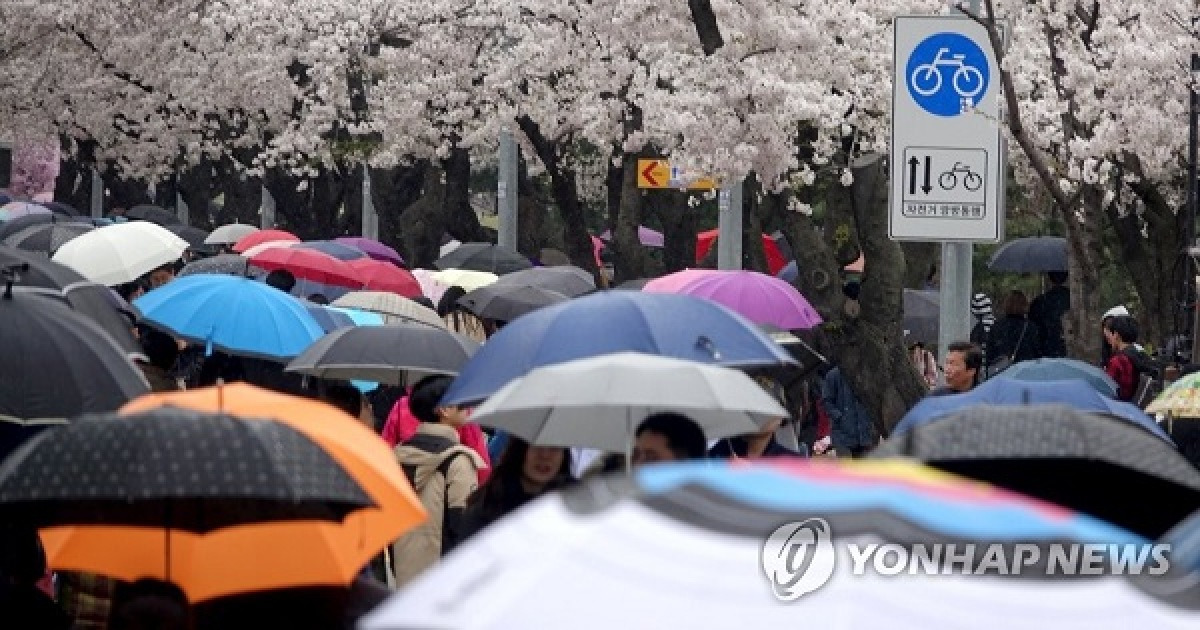 [오늘 날씨] 촉촉한 봄비, 우산 꼭 챙겨요