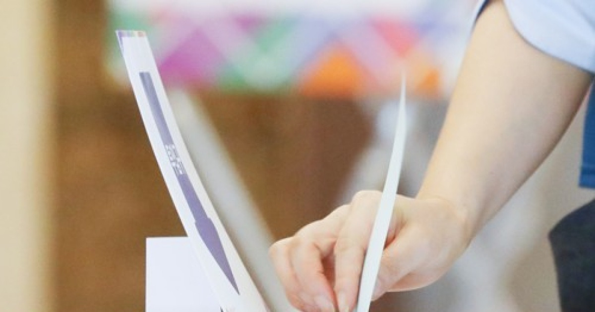 지방선거 투표율 정오 현재 19.7%