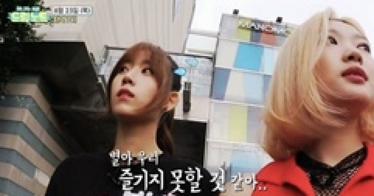 드림노트 버스킹 현장 공개, 레드벨벳·워너원 무대 완벽 커버