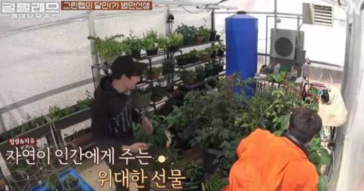 닉쿤 
