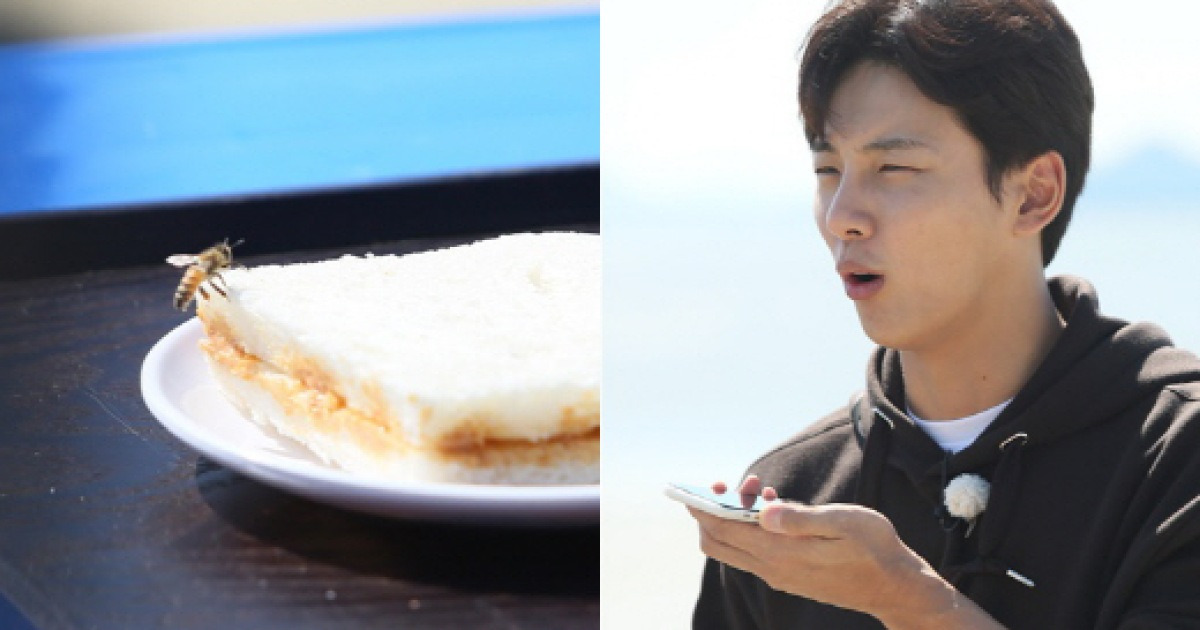 '1박 2일' 윤동구, 할머니 전화 찬스 S.O.S..'복불복 귀인'될까?