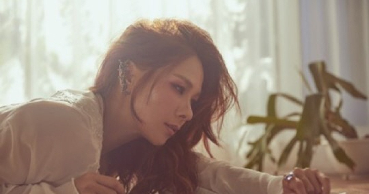 채연 
