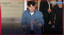 하이라이트