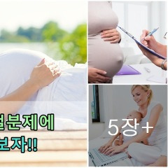 임신철분제