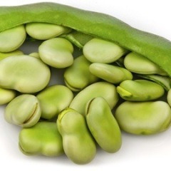 작두콩먹는법