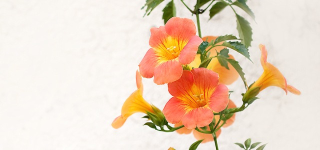 자세히보기 배너이미지