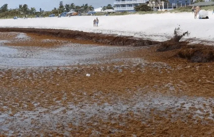 노란 수영복에 섹시한 몸매 어필하는 존예 처자