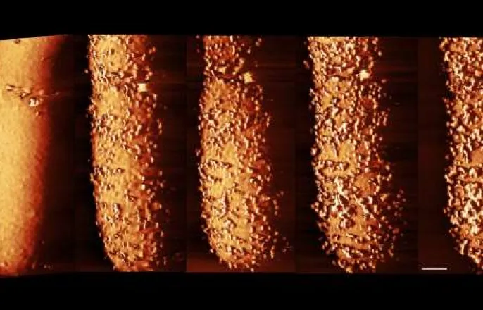 노란 수영복에 섹시한 몸매 어필하는 존예 처자