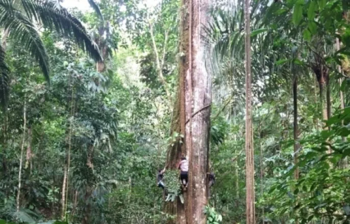 노란 수영복에 섹시한 몸매 어필하는 존예 처자