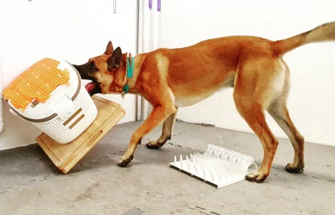 노란 수영복에 섹시한 몸매 어필하는 존예 처자