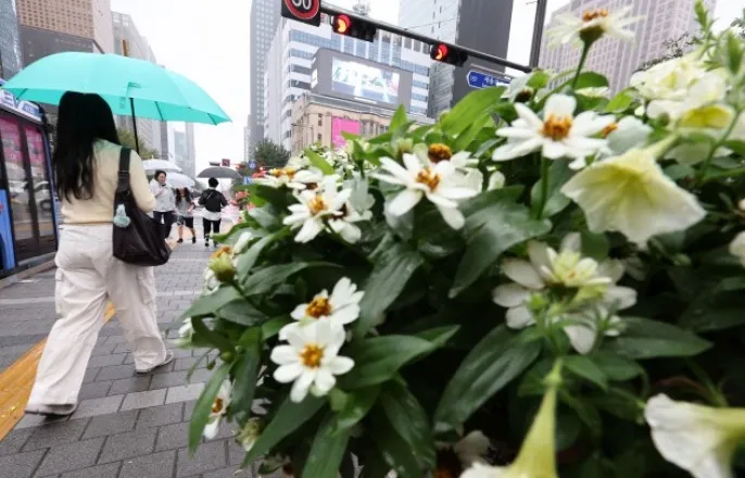 노란 수영복에 섹시한 몸매 어필하는 존예 처자