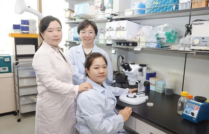 노란 수영복에 섹시한 몸매 어필하는 존예 처자