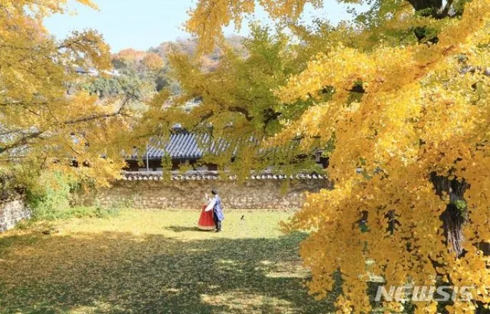 노란 수영복에 섹시한 몸매 어필하는 존예 처자