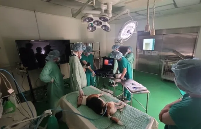 노란 수영복에 섹시한 몸매 어필하는 존예 처자