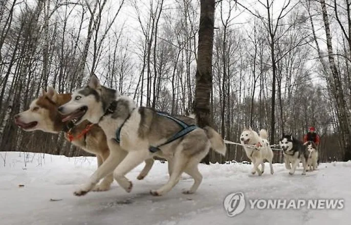 노란 수영복에 섹시한 몸매 어필하는 존예 처자