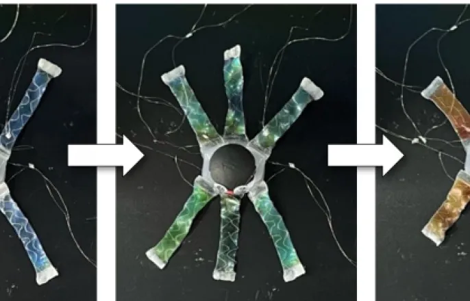 노란 수영복에 섹시한 몸매 어필하는 존예 처자