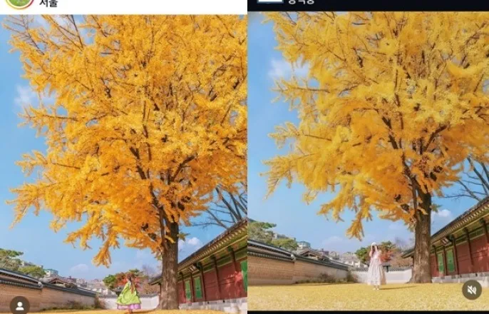 노란 수영복에 섹시한 몸매 어필하는 존예 처자