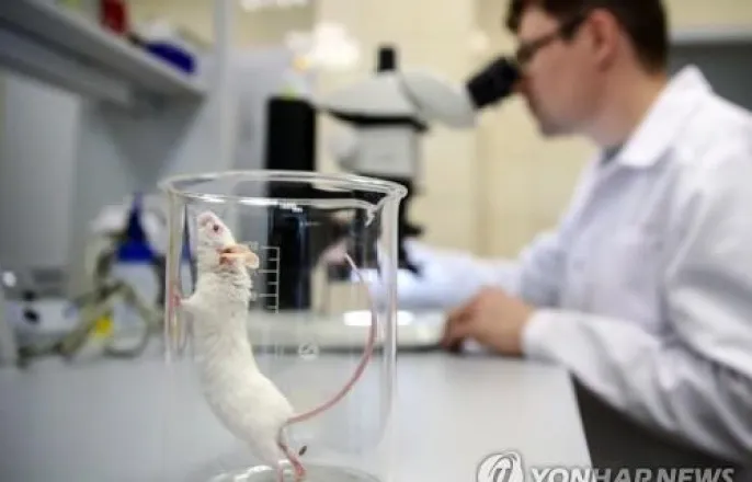 노란 수영복에 섹시한 몸매 어필하는 존예 처자