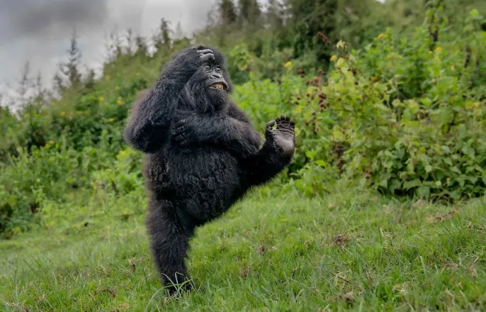 노란 수영복에 섹시한 몸매 어필하는 존예 처자