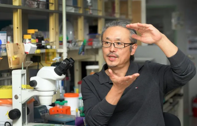 노란 수영복에 섹시한 몸매 어필하는 존예 처자