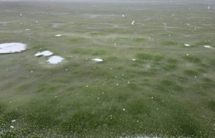 노란 수영복에 섹시한 몸매 어필하는 존예 처자