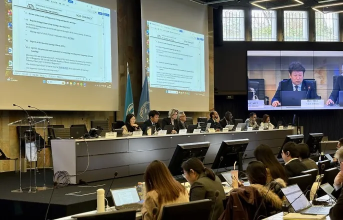 노란 수영복에 섹시한 몸매 어필하는 존예 처자