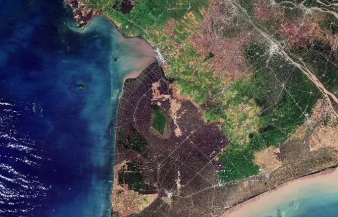 노란 수영복에 섹시한 몸매 어필하는 존예 처자