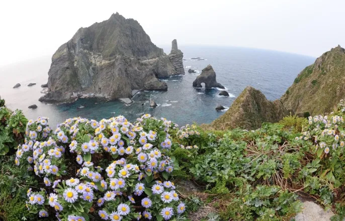 노란 수영복에 섹시한 몸매 어필하는 존예 처자