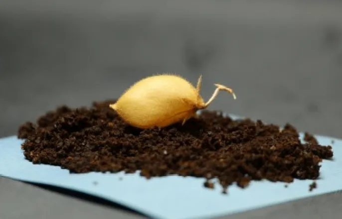 노란 수영복에 섹시한 몸매 어필하는 존예 처자