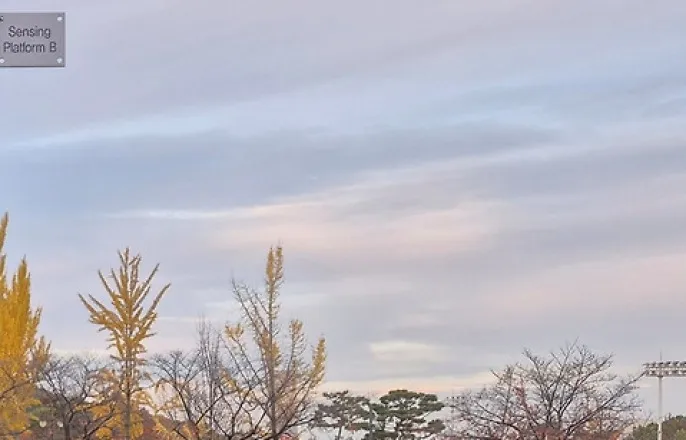 노란 수영복에 섹시한 몸매 어필하는 존예 처자