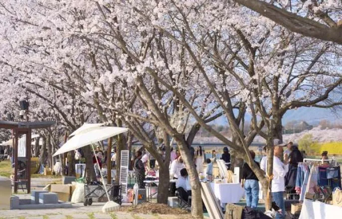 노란 수영복에 섹시한 몸매 어필하는 존예 처자