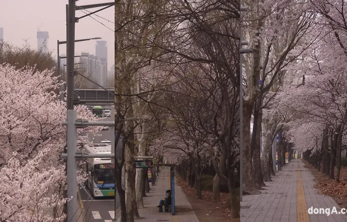 노란 수영복에 섹시한 몸매 어필하는 존예 처자