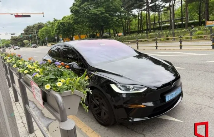 노란 수영복에 섹시한 몸매 어필하는 존예 처자